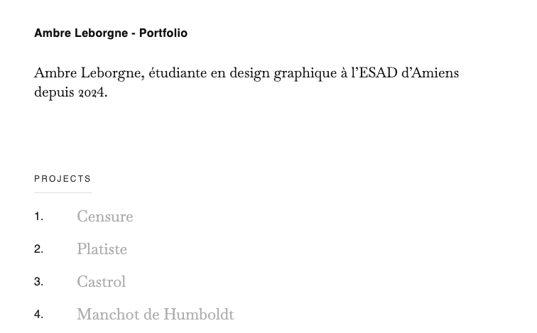 Portfolio Ambre Leborgne