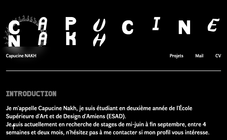 Portfolio Capucine Nakh